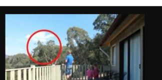 OTAC ILIJA UHVAĆEN SA ĆERKAMA NA BALKONU, MAJKA ODMAH IZLETJELA: Vrištali su dok su to radili