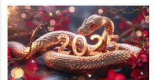 GODINA ZMIJE ĆE IM DONIJETI POSEBNU SREĆU: Ovim znakovima će u 2025 godini svemir sve ŽELJE ISPUNITI