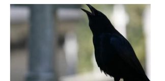 SIGNALI KOJE PREMINULE OSOBE ŠALJU: Poznati medij tvrdi da je to ZNAK da su tu i da nam žele nešto poručiti