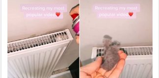 EVO KAKO DA OČISTITE RADIJATORE ZA MINUTU: Bolju foru niste vidjeli, kako se niko ranije nije sjetio ovoga?!