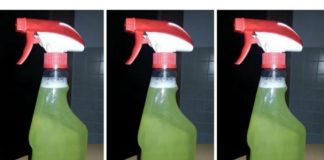 Sve dok me sestra nije obavestila o ovom zelenom čudu, čišćenje kupatila je bio užas: Cijelo kupatilo je bilo čisto za minut – SVE PREPARATE SAM ODLOŽIO IZ PRODAVNICE!