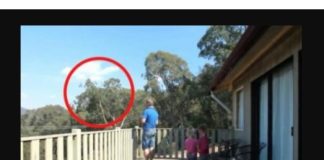 OTAC ILIJA UHVAĆEN SA ĆERKAMA NA BALKONU, MAJKA ODMAH IZLETJELA: Vrištali su dok su to radili