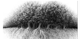 Ono što prvo vidite na slici, otkriće skrivenu tajnu vašeg karaktera: Saznajte kakvi ste zapravo u duši