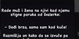 VIC DANA……Rade Mujo I Fata Na Njivi Kad Stigne Muji Poruka Od Švalerke…..