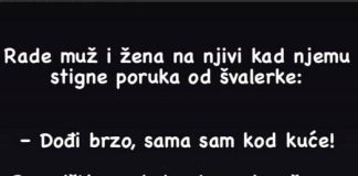VIC DANA……Rade Mujo I Fata Na Njivi Kad Stigne Muji Poruka Od Švalerke…..