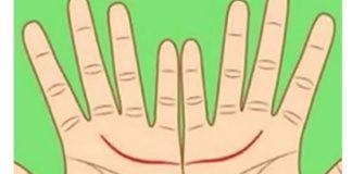 Ove linije na dlanu imaju samo posebni ljudi, nema ih mnogo, iznenadićete se kada čujete šta znače