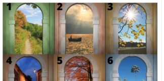 Kroz koju kapiju biste najradije prošli? Vaš izbor predstavlja pravu istinu o vama! (FOTO)