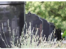 Sveštenik objasnio kako se pravilno računa 40 dana pokojniku: Otac Milan otkrio greške koje svi pravimo, a ovo pravilo mora da se poštuje