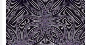 Od razvijenosti mozga zavisi šta ćete videti na ovoj slici: Svet se posvađao oko jedne iluzije, šta vi vidite?