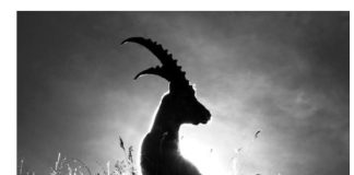 Kakva luda sreća: Za ova tri znaka sledi mogućnost da dobiju ono o čemu su maštali – reći će zbogom suzama!