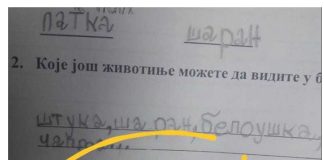 Na pitanje “zašto šaran živi u vodi” đak prvak dao URNEBESAN ODGOVOR: Kad malo bolje razmislite, zapravo je GENIJALAN