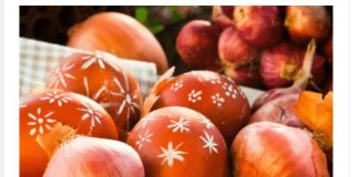 EV0 ŠTA TREBA DA SE URADI SA PR0ŠL0G0DIŠNJIM JAJET0M – ČUVARKUĆ0M: Jedini ispravan način ZA K0JI MAL0 K0 ZNA