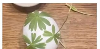 Starinski način da vam se TRAVKE jasno preslikaju na uskršnja jaja, nema uopšte mrlja – 3 laka koraka daće vam savršene šare (FOTO/VIDEO)