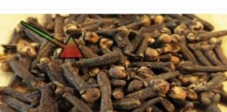 TO JE RAZLOG zašto sam počeo žvakati klinčiće svaki dan: Moram zahvaliti majčinoj ljekarnici na ovom sjajnom SAVJETU