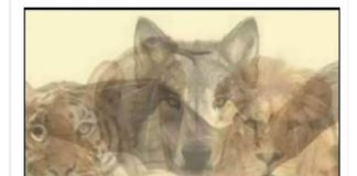 KOJA JE PRVA ŽIVOTINJA KOJU STE VIDJELI NA SLICI: Samo mali broj ljudi primjećuje jednu, a to otkriva vaše najdublje tajne