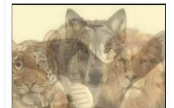 KOJA JE PRVA ŽIVOTINJA KOJU STE VIDJELI NA SLICI: Samo mali broj ljudi primjećuje jednu, a to otkriva vaše najdublje tajne