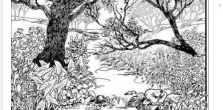 Mnogi su probali, ali nisu uspeli: Svako ko pronađe ženu na fotografiji ima natprosečnu inteligenciju