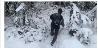 ŠTA STE PRVO VIDELI??? Precizan test ličnosti razotkriće vas za sekund: Sve što ste vešto krili izlazi na videlo