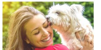 ZNATE LI ŠTA ZNAČI AK0 VAM PAS LIŽE RUKU: Nije ljubav, evo šta želi da vam poruči