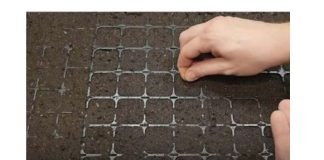 Točan DATUM sjetve paradajza, paprike, krastavaca i mrkve u 2025. godini: Vrtlari, ZAPIŠITE OVO!