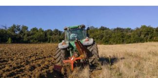 DEDO, A ZAŠTO NE OREŠ TAJ DIO ZEMLJE: “Sine, Iako Si Musliman, Nemoj To Zaboraviti, Tu Je Nekada Srbin Slavu Slavio.”