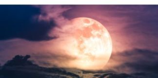 Pun “Mesec Jagode” od sutra menja sudbine 3 znaka: Jednima sledi napedak, a drugima haos