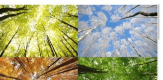 GODIŠNJE DOBA U KOJEM STE ROĐENI određuje vaš karakter ali i SUDBINU, uvjerite se i sami