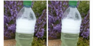 Sredstvo za ubijanje korova za par centi – očistilo je beton, terasu i cijelu baštu: ISPROBANO I NAJJAČE, NE MOGU GA ODLOŽITI!