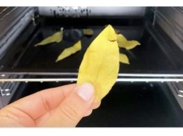 Svi bi trebali biti svjesni efekta koji se može postići jednostavnim stavljanjem običnog lovorovog lista u rernu i ostavljanjem da se peče 20 minuta.