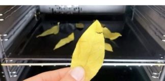 Svi bi trebali biti svjesni efekta koji se može postići jednostavnim stavljanjem običnog lovorovog lista u rernu i ostavljanjem da se peče 20 minuta.