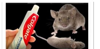 Gotovo NIKO ne zna tajnu sigurnosne igle: Vrlo koristan trik koji ćete sigurno cijeniti!