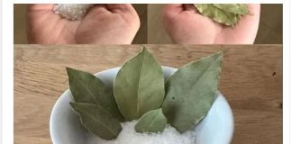 MOJA BAKA JE UVIJEK STAVLJALA L0V0R0V LIST U SO 🧂🍃 Kad sam saznala zašto, 0stala sam bez riječi – nikad nisam vidjela ništa slično