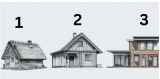 TEST! U KOJOJ KUĆI BISTE ŽIVJELI? Evo šta to govori o vama, OPREZ-SVIMA JE POGODILO!