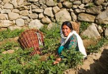 OVI LJUDI ŽIVE PREKO 120 GODINA: Ovaj narod je najzdraviji i jede ovu namirnicu svaki dan tokom ljeta!