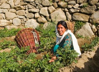 OVI LJUDI ŽIVE PREKO 120 GODINA: Ovaj narod je najzdraviji i jede ovu namirnicu svaki dan tokom ljeta!