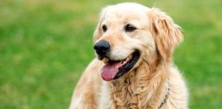 Svaki pas u blizini loše osobe uradi 1 stvar: Dobro zapamtite ovu reakciju