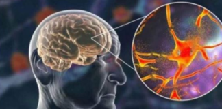 Hrani mozak i čuva pamćenje, JEDITE JE JEDNOM SEDMIČNO – NAJBOLJA NAMIRNICA PROTIV DEMENCIJE, MNOGI JE RIJETKO KAD JEDU!