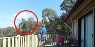 UHVAĆEN JE SA ĆERKAMA NA BALKONU, MAJKA ODMAH IZLETJELA: Vrištali su dok su to radili….