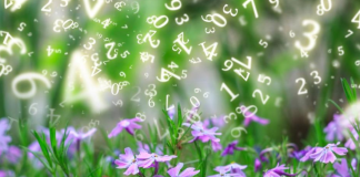 5 energetski najmoćnijih datuma u avgustu 2025: Možete i da promenite život ako jednoj stvari poklonite pažnju