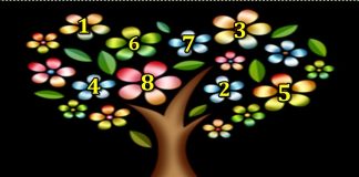 DRVO ŽELJA! ZAMISLITE JEDNU ŽELJU I IZABERITE 1 BROJ SA DRVETA: Evo da li će vam se želja ostvariti