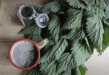 Leči 100 bolesti – poznati NADRILEKAR je otkrio mojoj majci tajnu ove biljke