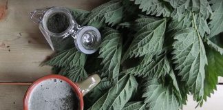 Leči 100 bolesti – poznati NADRILEKAR je otkrio mojoj majci tajnu ove biljke