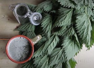 Leči 100 bolesti – poznati NADRILEKAR je otkrio mojoj majci tajnu ove biljke