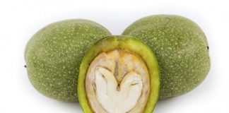 Leči plućne i kožne bolesti, čisti krv, poboljšava vid, jača mišiće – a svi ga imamo pred kućom