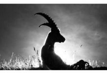 Kakva luda sreća: Za ova tri znaka sledi mogućnost da dobiju ono o čemu su maštali – reći će zbogom suzama!