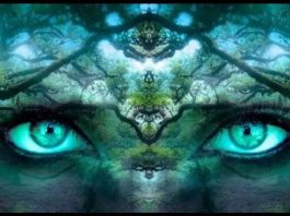 PROVJERITE KOLIKO STE SRETNI: Šta ste prvo vidjeli na ovoj slici otkriva vašu tajnu !!!!!