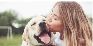 ZNATE LI ŠTA ZNAČI AKO VAM PAS LIŽE RUKU: Nije ljubav, evo šta želi da vam poruči