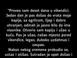 Proveo sam deset dana u vikendici…