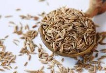 Da li se stalno debljate, loše spavate i bole vas zglobovi? Ovaj JEFTIN začin bi mogao biti odgovor!