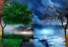 GODIŠNJE DOBA U KOJEM STE ROĐENI određuje vaš karakter ali i SUDBINU, uvjerite se i sami